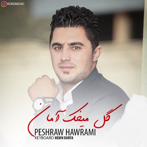 پیشرو هورامی گل میخک آمان